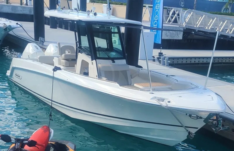 Boston Whaler Tender