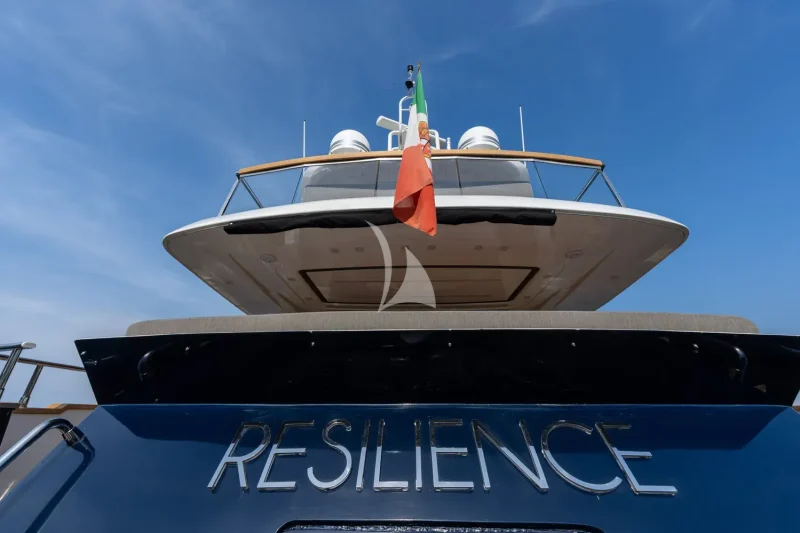 RESILIENCE