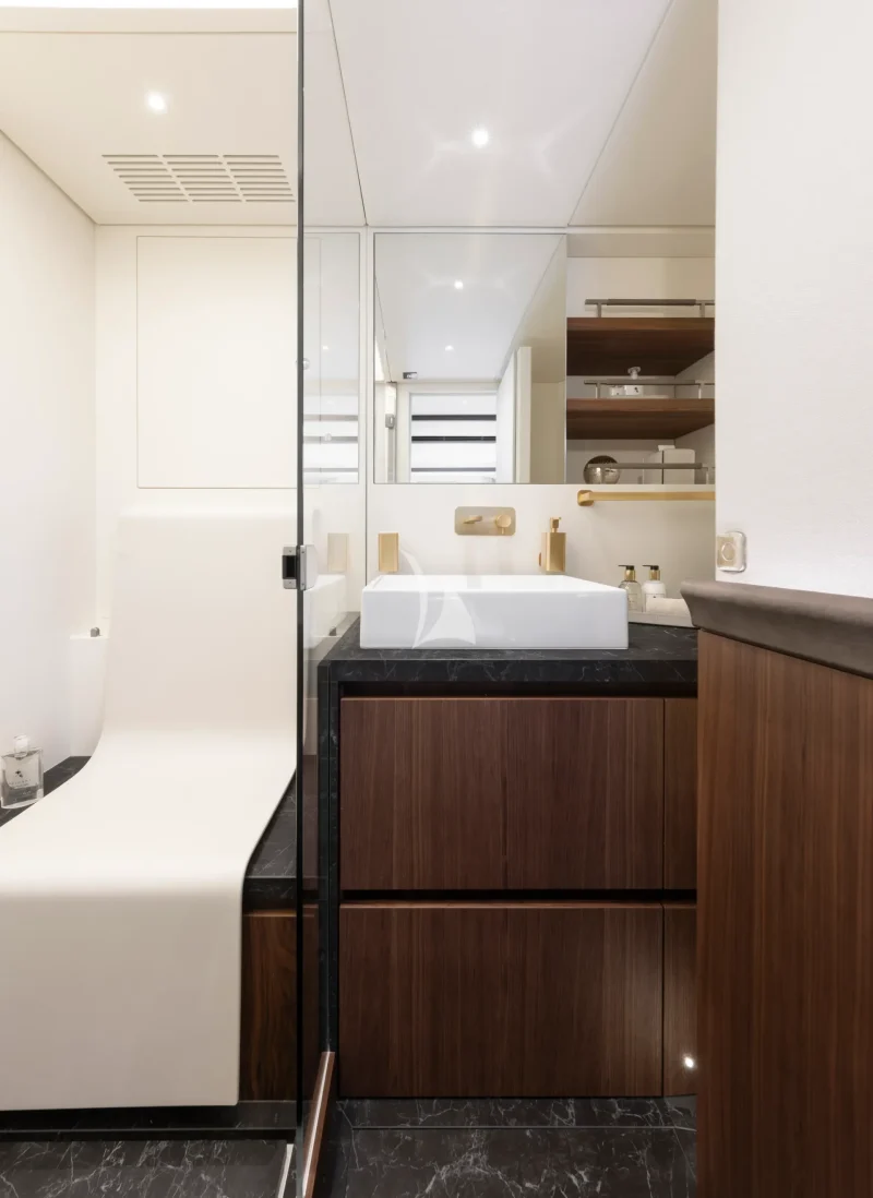 Owner's bathroom