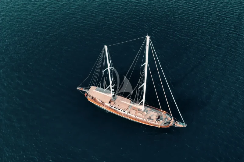 LA BELLA VITA