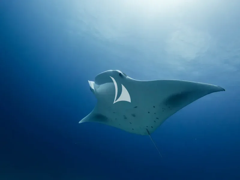 Raja Ampat