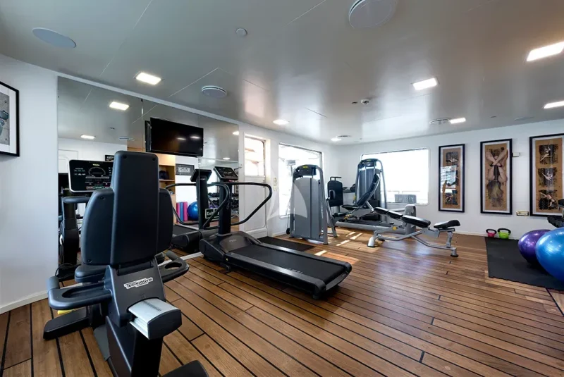 bridge deck - gym