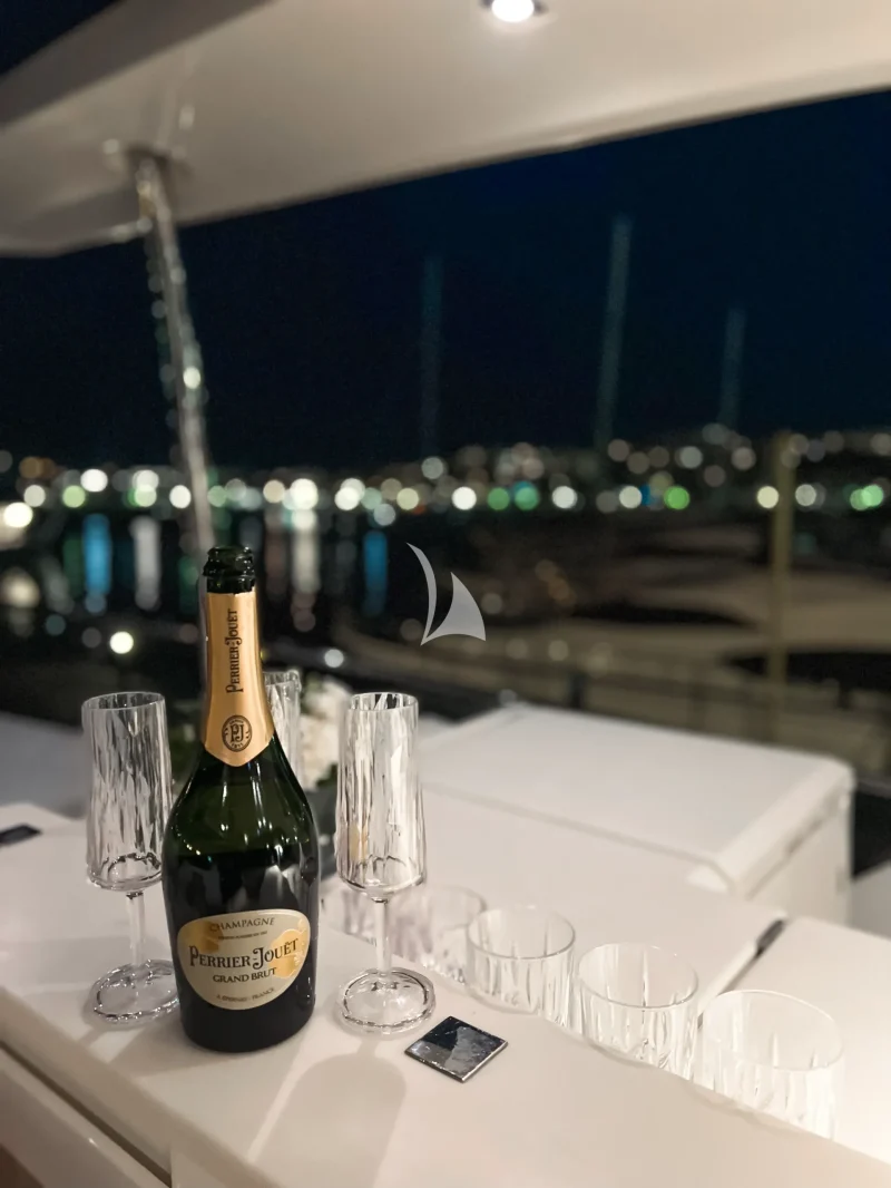 MINI GALLEY ON FLYBRIDGE