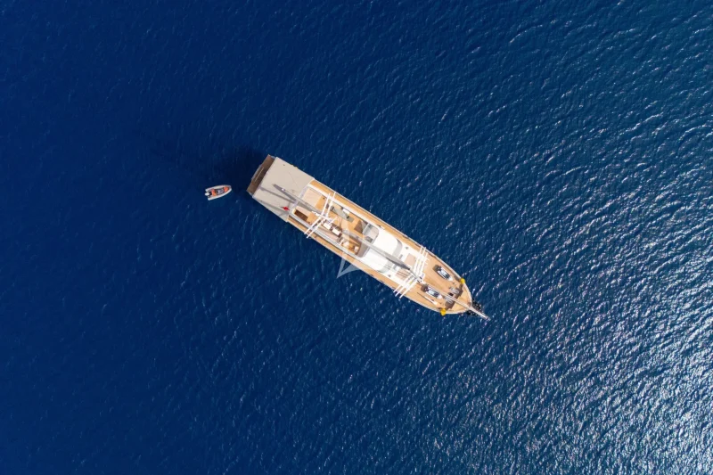 KING OF THE SEA