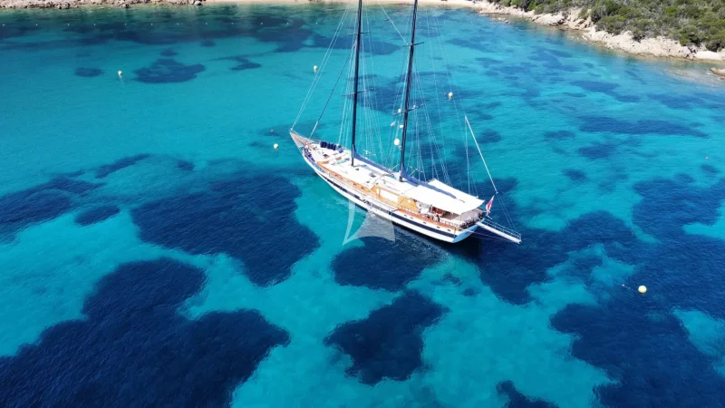 ELIANORA