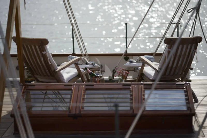 Black Swan - deck