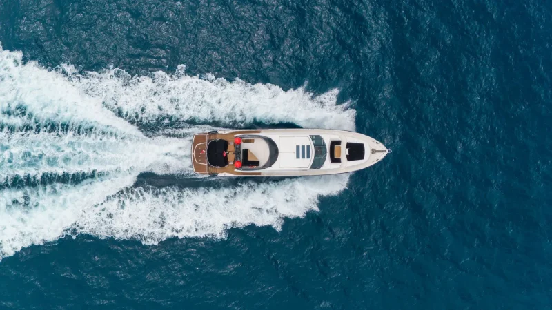 PALUMBA CRUISING