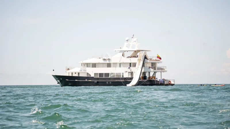 Kontiki Wayra