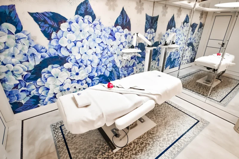 Treatment Room/Spa