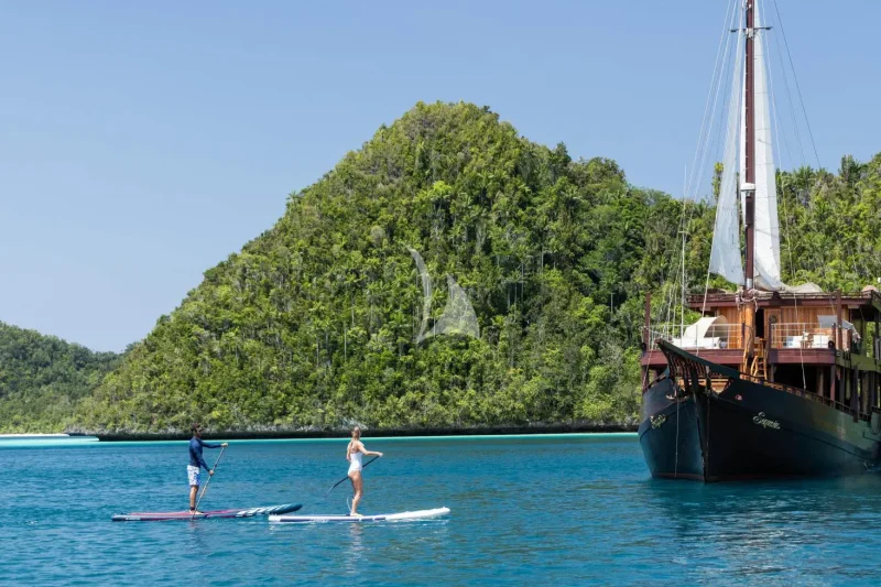 6 x Stand-up paddle boards