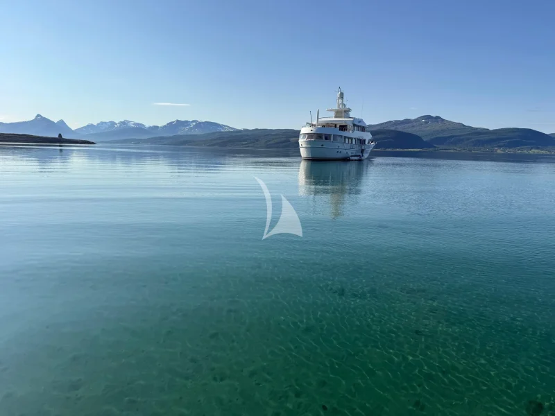 Sheergold in Norway this summer 2026