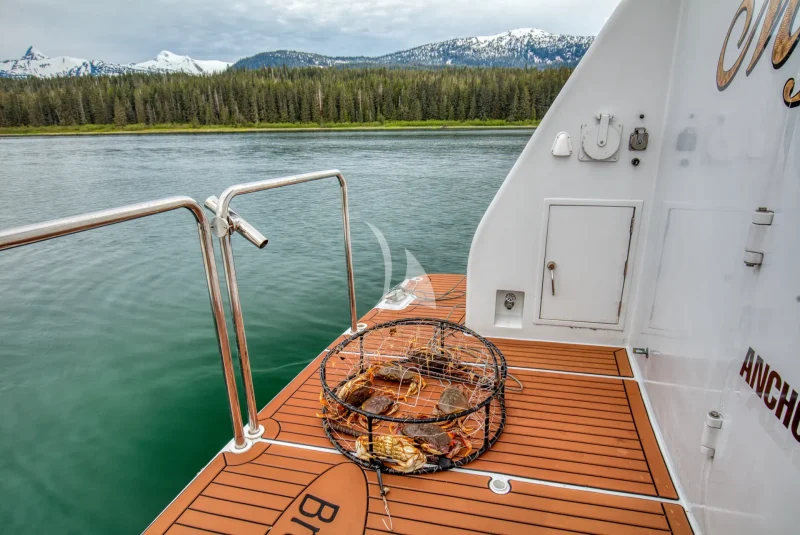 Aft Deck