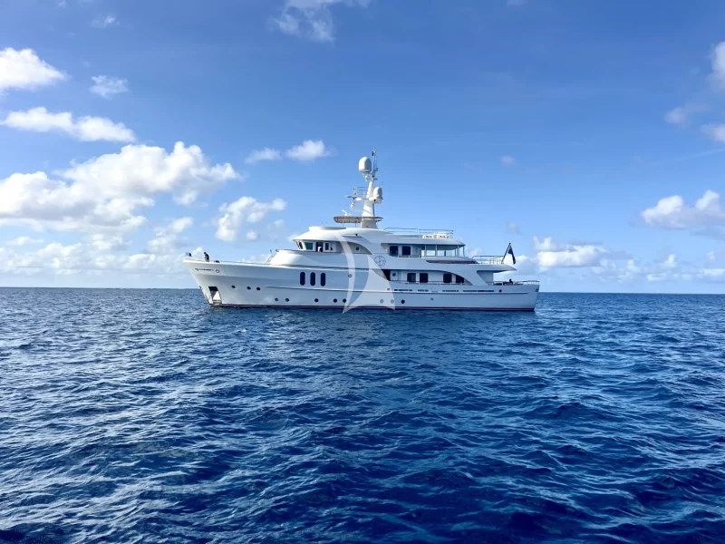 BELUGA 