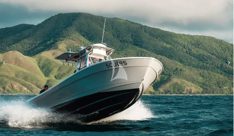 BELUGA | Rambler - 32 Andros tender
