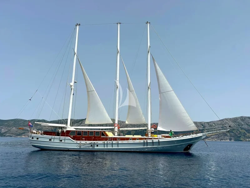 Dolce Vita new white hull
