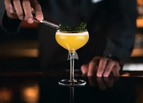 Cocktail experience