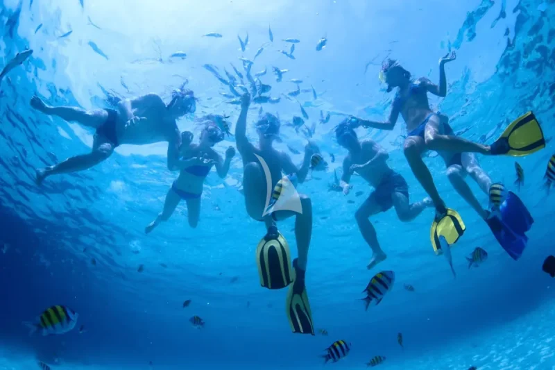 Snorkelling gear