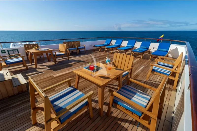 M/Y PASSION