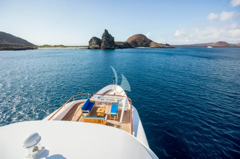 M/Y PASSION