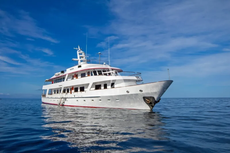 M/Y PASSION