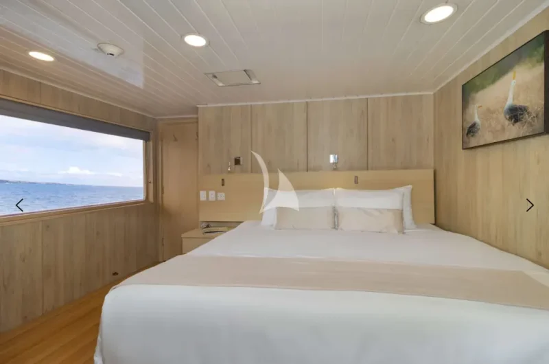 M/Y PASSION
