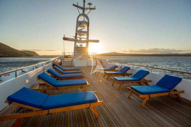 M/Y PASSION