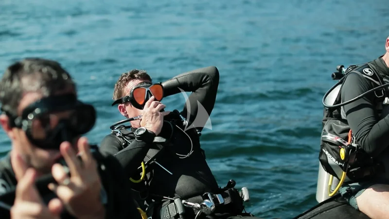 Diving on board